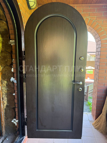 Фото двери №63