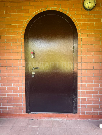 Фото двери №60