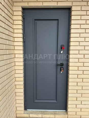 Фото двери №80