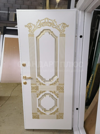Фото двери №36